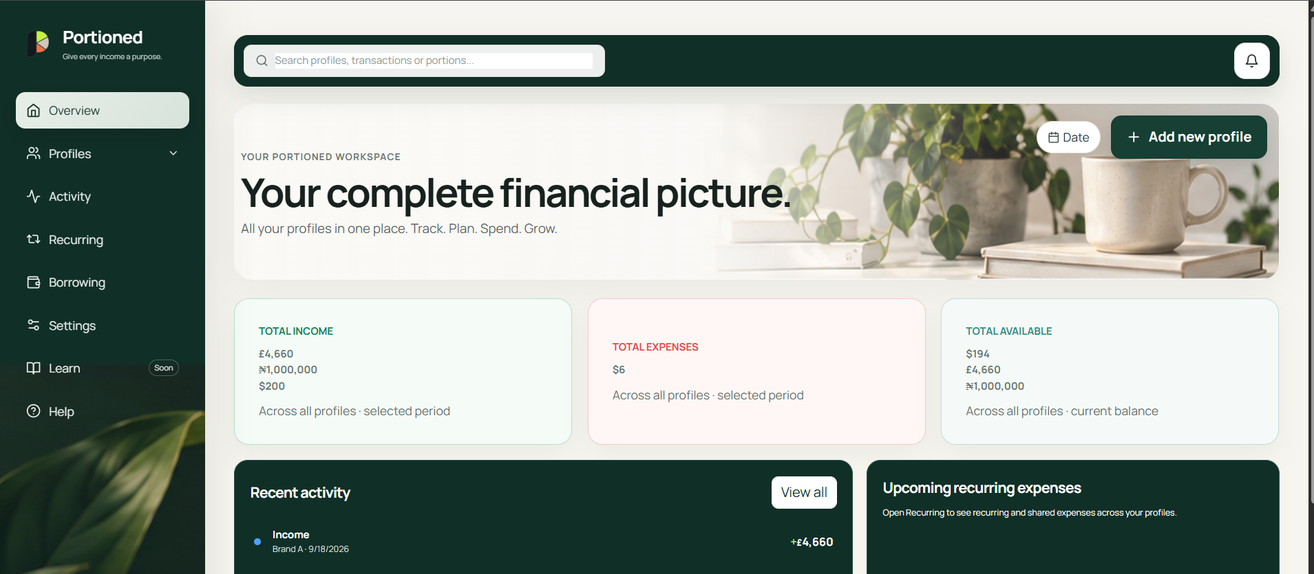 Portioned desktop dashboard showing a complete financial overview
